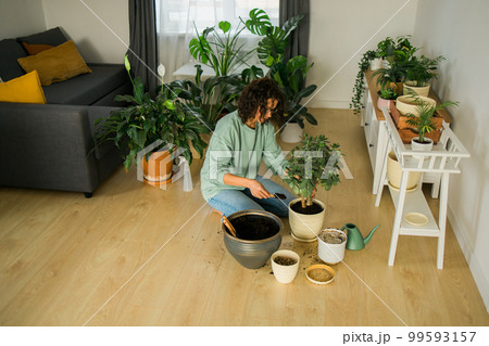 Woman gardener transplanting green plants in ceramic pots on the floor. Concept of home garden and potted plants Woman gardener transplanting green plants in ceramic pots on the floor. Concept of home garden and potted plants 99593157