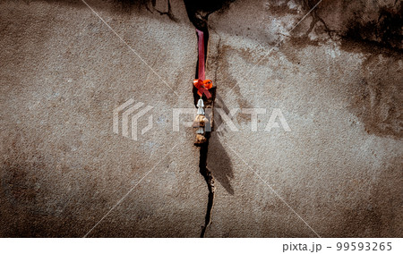 Abstract photo of sunlight shined through old garland at the morning in the old concrete wall cracks. 99593265