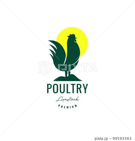 chicken rooster poultry crowed morning get up village vintage logo design vector icon illustration template 99593563
