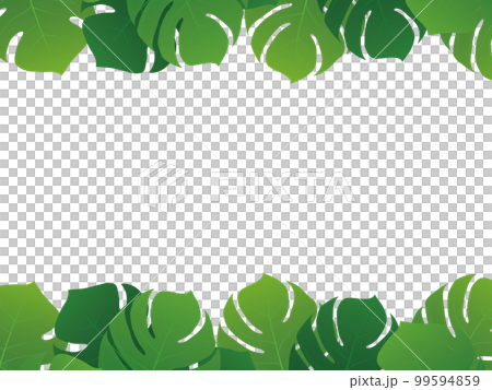 モンテスラ　リゾート　トロピカル　背景素材 99594859