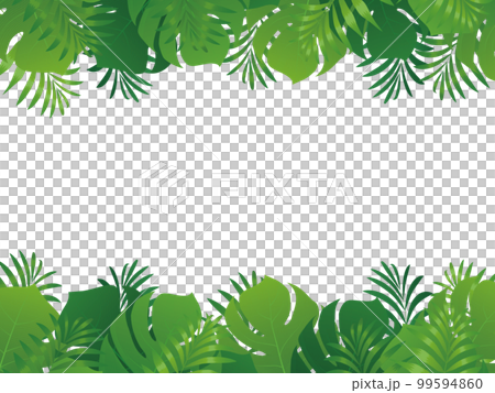 モンテスラ リゾート トロピカル 背景素材 モンテスラ リゾート トロピカル 背景素材 99594860