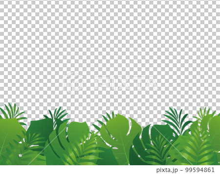 モンテスラ　リゾート　トロピカル　背景素材 99594861