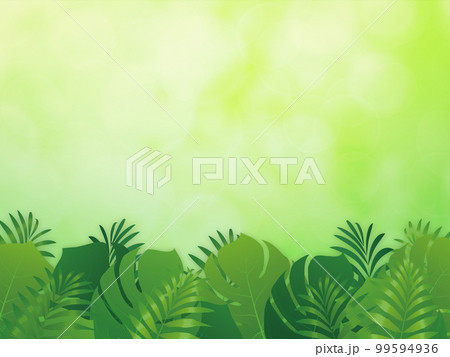 モンテスラ　リゾート　トロピカル　背景素材 99594936