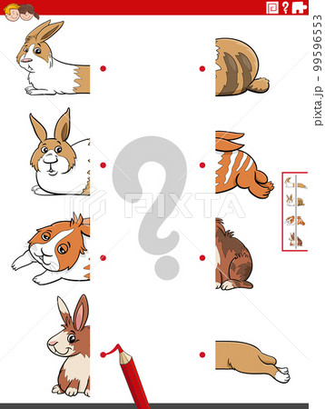 match halves of pictures with rabbits educational game 99596553