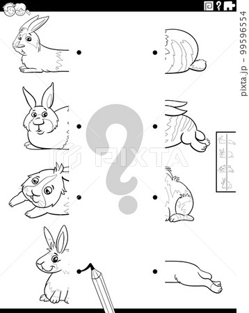 match halves of cartoon rabbits pictures coloring page match halves of cartoon rabbits pictures coloring page 99596554
