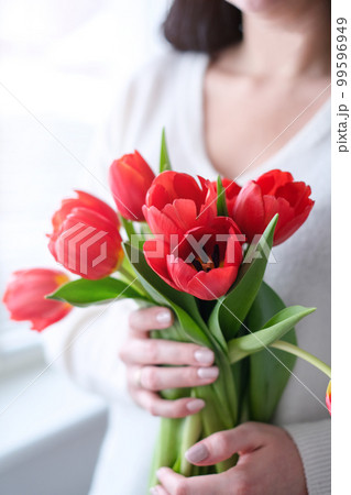 International Womens Day.Close-up of a woman in a white sweater with a bouquet of red tulips International Womens Day.Close-up of a woman in a white sweater with a bouquet of red tulips 99596949