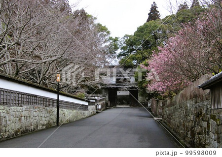 宮崎県日南市の飫肥城大手門 宮崎県日南市の飫肥城大手門 99598009