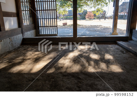 三和土の樹影 三和土の樹影 99598152