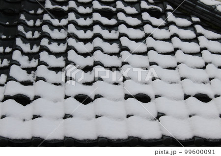雪の屋根 99600091