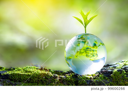 3D illustration Renewable energy concept Earth Day or environmental protection Protect the forests that grow on the ground and help save the planet. 99600266