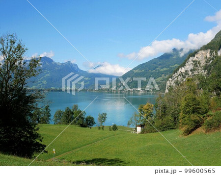 緑鮮やかな草原とヴァレン湖　（スイス・ヴェエセン） 99600565