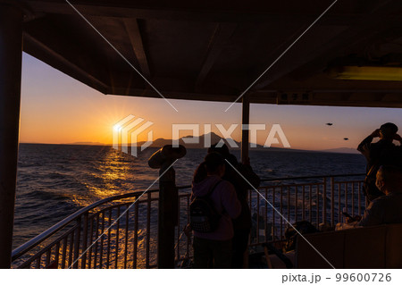 フェリーから観える風景(長崎県普賢岳と夕陽・野鳥カモメ)フェリー航海・渡航(島原港から熊本港) フェリーから観える風景(長崎県普賢岳と夕陽・野鳥カモメ)フェリー航海・渡航(島原港から熊本港) 99600726