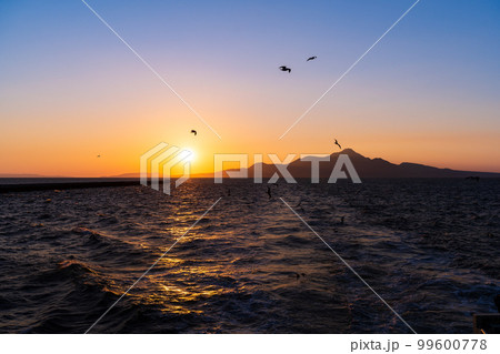 海から観える美しい風景(長崎県普賢岳と夕陽・野鳥カモメ)フェリー航海・渡航(島原港から熊本港) 海から観える美しい風景(長崎県普賢岳と夕陽・野鳥カモメ)フェリー航海・渡航(島原港から熊本港) 99600778