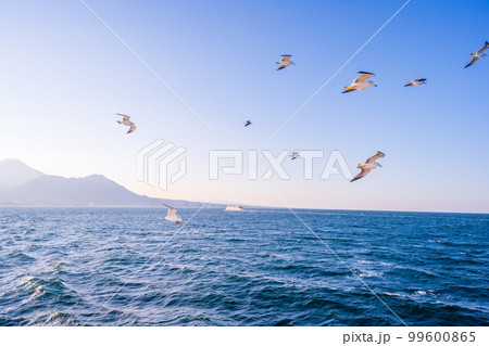 有明海から観える美しい風景(島原半島と陽射し・野鳥カモメ)フェリー航海・渡航(島原港から熊本港) 有明海から観える美しい風景(島原半島と陽射し・野鳥カモメ)フェリー航海・渡航(島原港から熊本港) 99600865