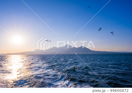 有明海から観える美しい風景(島原半島と陽射し・野鳥カモメ)フェリー航海・渡航(島原港から熊本港) 99600872