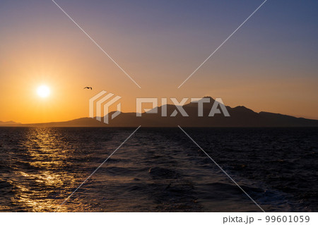 有明海から観える美しい風景(長崎普賢岳と夕焼け・カモメ)フェリー航海・渡航(島原港から熊本港) 99601059