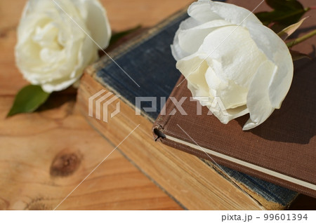 アイスバークの白いバラと古書　　　 99601394