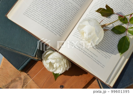 アイスバークの白いバラと古書　　　 99601395