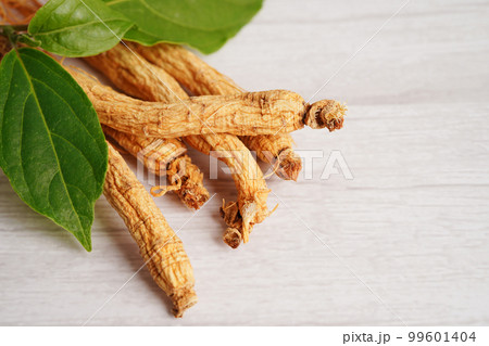 Ginseng roots and green leaf, healthy food. Ginseng roots and green leaf, healthy food. 99601404