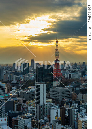 東京都市風景　夕暮れの東京タワー 99601493