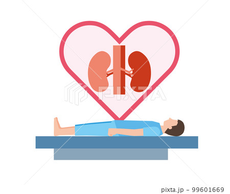 腎臓の移植と男性 99601669