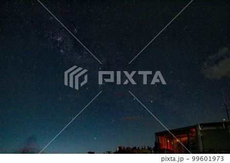 ニュージーランド_テカポ湖287 99601973