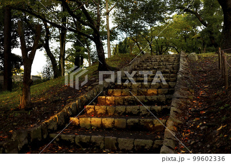 駿府城　周辺の風景　イメージ 99602336