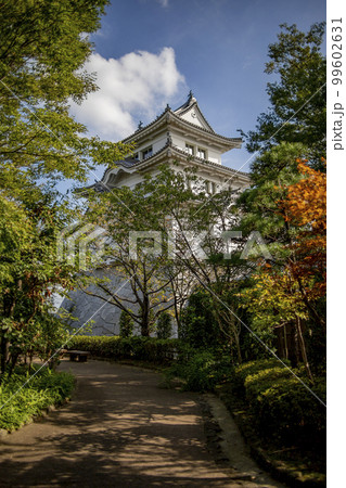 関宿城　周辺の風景　イメージ 99602631