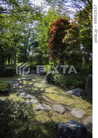 関宿城　周辺の風景　イメージ 99602637