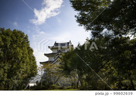 関宿城 周辺の風景 イメージ 関宿城 周辺の風景 イメージ 99602639