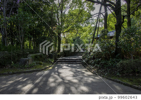 関宿城　周辺の風景　イメージ 99602643