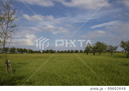 関宿城 周辺の風景 イメージ 関宿城 周辺の風景 イメージ 99602648