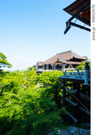 《京都市》世界遺産 新緑が映える清水寺 99603076