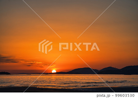 兵庫県 新舞子浜 夕日 干潟 兵庫県 新舞子浜 夕日 干潟 99603530