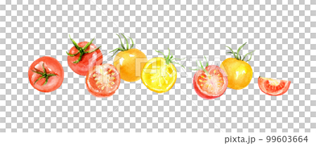 ミニトマトのラインデザイン　水彩イラスト　ベクター 99603664