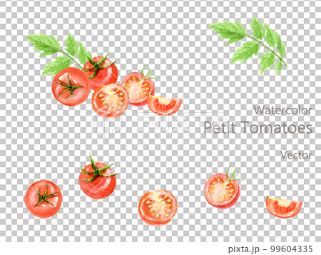 紅色迷你番茄水彩插圖集矢量 紅色迷你番茄水彩插圖集矢量 99604335