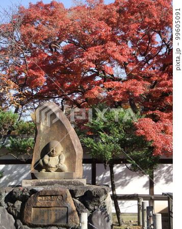 宝鏡寺　人形塚と秋の紅葉 99605091
