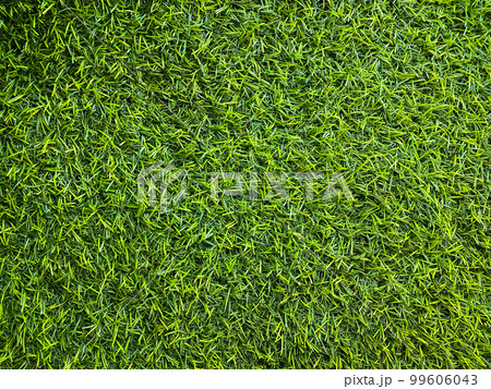 Artificial grass for outdoor building decoration Artificial grass for outdoor building decoration 99606043