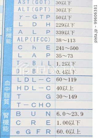 健康診断結果 99606381