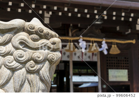神社の狛犬 99606452