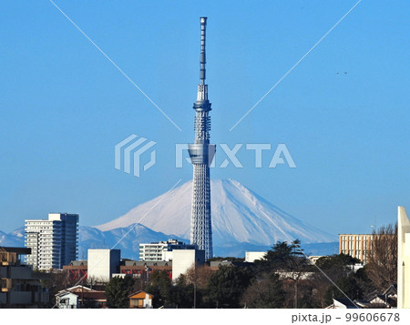 富士山とスカイツリー 富士山とスカイツリー 99606678