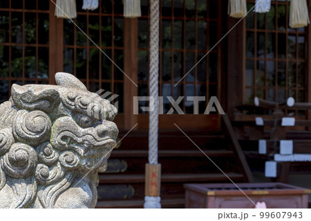 神社の狛犬 99607943