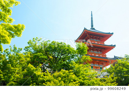 《京都市》世界遺産 新緑が映える清水寺 《京都市》世界遺産 新緑が映える清水寺 99608249