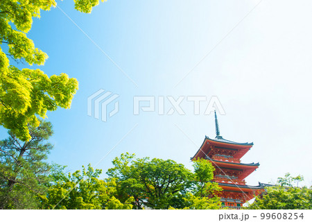 《京都市》世界遺産 新緑が映える清水寺 《京都市》世界遺産 新緑が映える清水寺 99608254