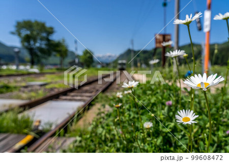 線路の脇の白い花～只見線～ 99608472