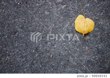 Smooth asphalt road. The texture of the pavement, top view. Autumn leaf on the pavement. Autumn leaf background. Smooth asphalt road. The texture of the pavement, top view. Autumn leaf on the pavement. Autumn leaf background. 99608542