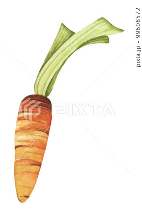 Buy Realistic Bunch of Carrots Painting Online in India - Etsy