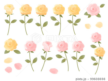 黄色とピンクのバラ　セット 99608698