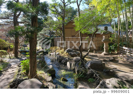 茅ヶ崎 高砂緑地の梅 茅ヶ崎 高砂緑地の梅 99609001