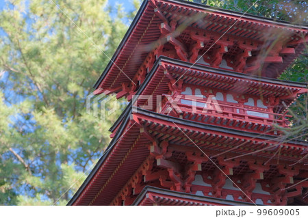 茅ヶ崎 高砂緑地の塔 99609005